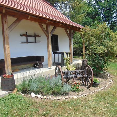 Hotel Rigo Vendeghaz Őriszentpéter Zewnętrze zdjęcie