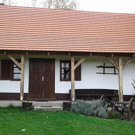 Hotel Rigo Vendeghaz Őriszentpéter Zewnętrze zdjęcie